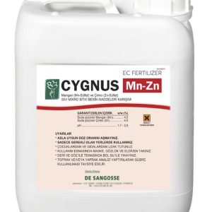 CYGNUS